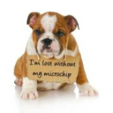 New Microchipping Law