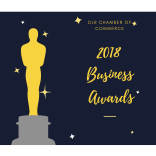 Winners DLR Chamber of Commerce Business Awards