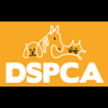 Dublin SPCA